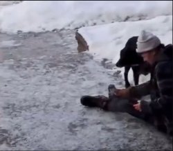 The Good wife Meme Template