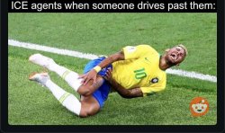 ICE Flop Meme Template