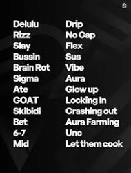 brainrot Meme Template