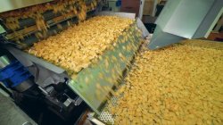 Chips incoming Meme Template