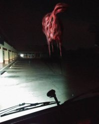 The Lamb Meme Template