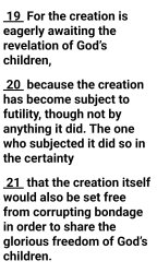 Restoration to Perfection Meme Template