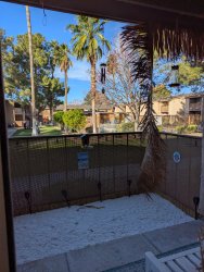 Tucson Wind Meme Template