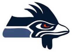 Seattle sea chickens Meme Template