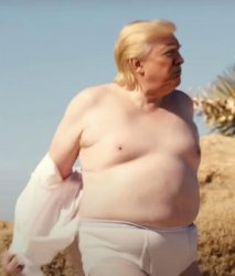 Fat Trump Meme Template