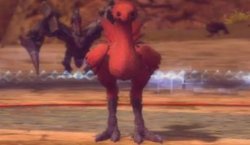 red comet chocobo Meme Template