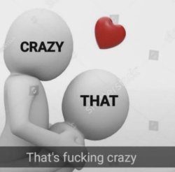 crazy Meme Template