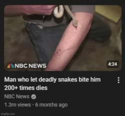 man who let deadly snakes bite him dies Meme Template