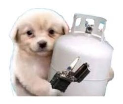 Dog holding a gas tank Meme Template