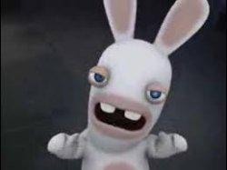 rabbid rap Meme Template