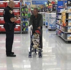 Chrisjoines1 Meme Template