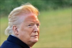 Pedophile Protector Meme Template