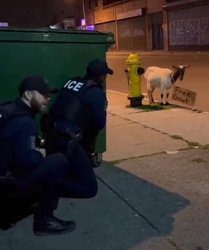 ice trap Meme Template