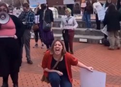 insane liberal Meme Template