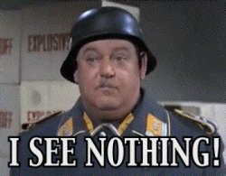 I see nothing Meme Template