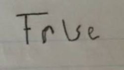 True or False? Meme Template