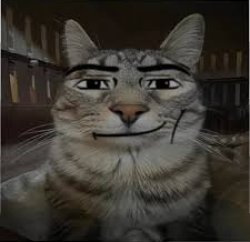man face cat Meme Template