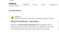 Me when I search up a school answer on google and Gemini hits me Meme Template