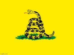 gadsden flag base image no text Meme Template