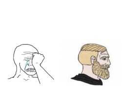 bro please stop Meme Template