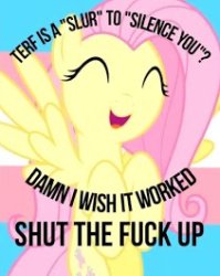 Slur to silence you Meme Template