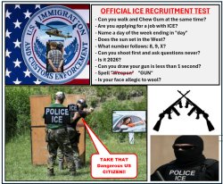 High ICE Qualifications Meme Template