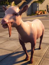 Bob goat Meme Template