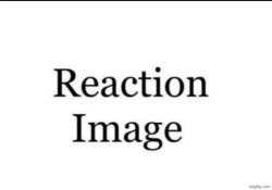 reaction image Meme Template