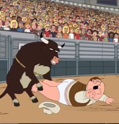 breeding bull Meme Template