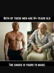 kittons Meme Template