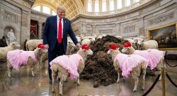 MAGA DUNG Meme Template