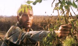 Shakin the tree boss Meme Template