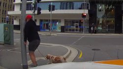 Chrisjoines1 Meme Template