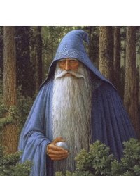 Blue wizard Meme Template