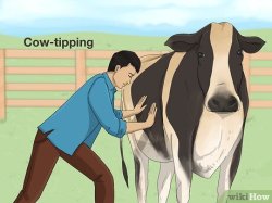 cow tipping Meme Template