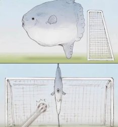 Sunfish Goalie Meme Template