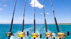 Fishing Meme Template