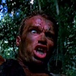 Arnold Schwarzenegger Meme Template