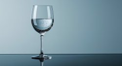 Water in Wine Glass Meme Template