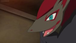 Surprised Happy Zoroark. Meme Template