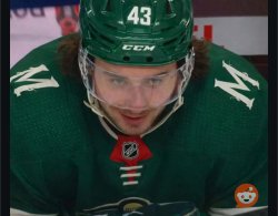 Quinn hughes Meme Template