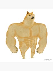 Buff doge Meme Template