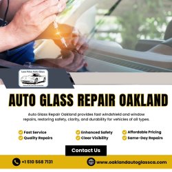Auto Glass Repair Oakland Meme Template
