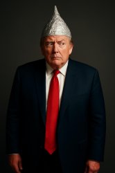 Trump, losing his mind, hallucinating, dementia, tinfoil hat Meme Template