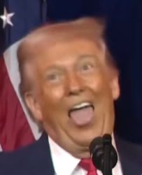 Trump Meme Template