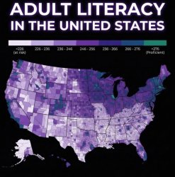 adult literacy in the United States Meme Template