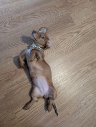 Who you kidding Meme Template