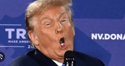 Trump grotesque lies insults crazy Meme Template