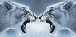 lion yell at lion that yells at lion Meme Template