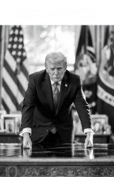 Mr. Tariff pic Meme Template